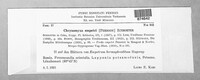 Chrysomyxa empetri image